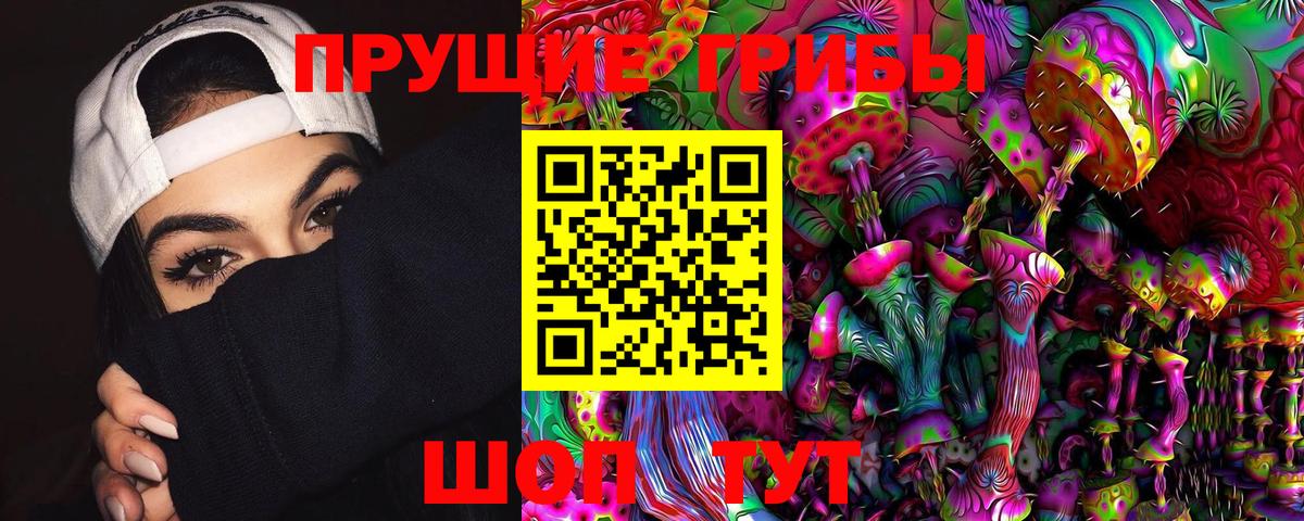 Галлюциногенные грибы GOLDEN TEACHER  Вход с VPN  Владикавказ 