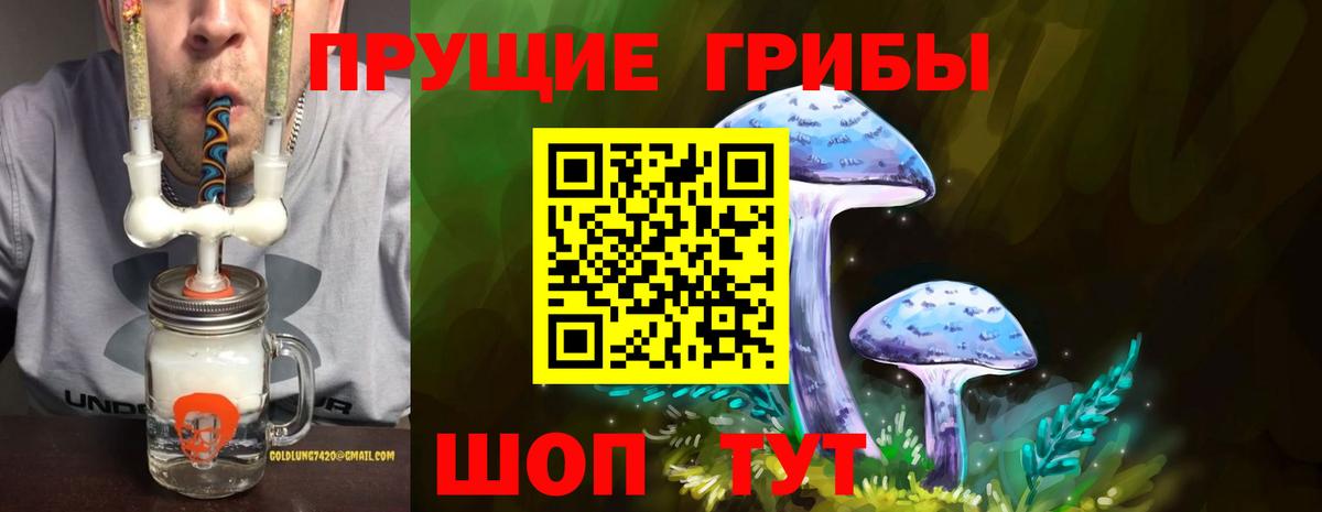Галлюциногенные грибы ЛСД Владикавказ
